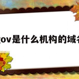 gov是什么机构的域名(gov的域名代表是政府机关吗)