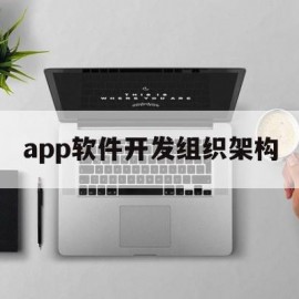 app软件开发组织架构(app软件开发组织架构图)