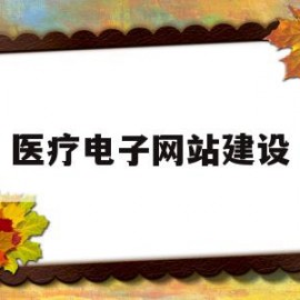 医疗电子网站建设(医疗电子网站建设工作总结)