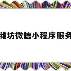 潍坊微信小程序服务(潍坊微信小程序服务中心)