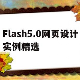 Flash5.0网页设计实例精选的简单介绍