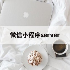 微信小程序server(微信小程序开发)