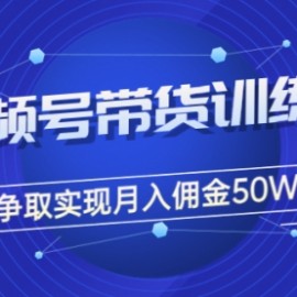 收费4980的《视频号带货训练营》争取实现月入佣金50W+（课程+资料+工具）