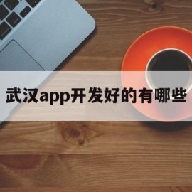 武汉app开发好的有哪些(武汉app开发公司哪家好)