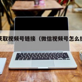 怎么获取视频号链接（微信视频号怎么提取视频）