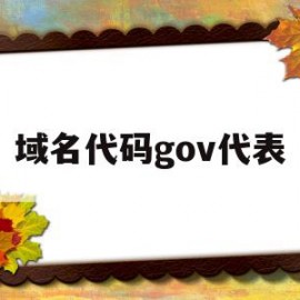 域名代码gov代表(govcn域名表示的是什么)