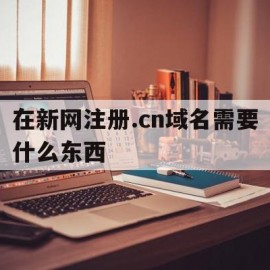 在新网注册.cn域名需要什么东西(在新网注册cn域名需要什么东西才能用)