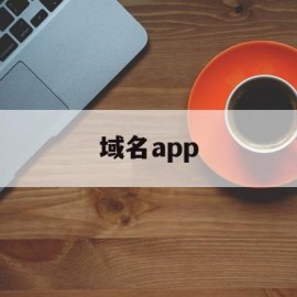 域名app(域名app黄页)