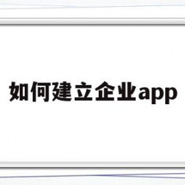 如何建立企业app(如何建立企业微信公众号平台)