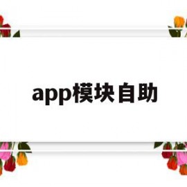 app模块自助(app模块设计图)