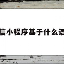 微信小程序基于什么语言(微信小程序基于什么语言制作)