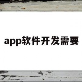 app软件开发需要(app软件开发需要具备哪些技能)