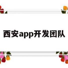 西安app开发团队(西安做app的软件公司)