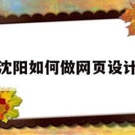 沈阳如何做网页设计(沈阳网页制作公司哪家好)