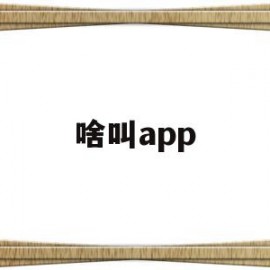 啥叫app(ap是啥手表)