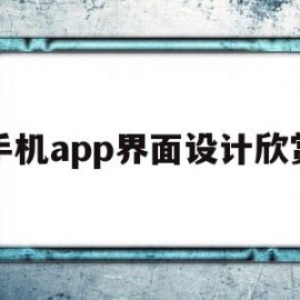 手机app界面设计欣赏(手机app界面设计欣赏怎么设置)