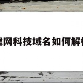 建网科技域名如何解析(建网科技域名如何解析出来)