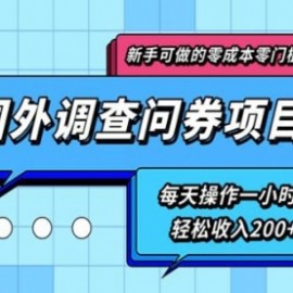 新手0成本0门槛可操作的国外调查问券项目，每天一小时轻松收入200+