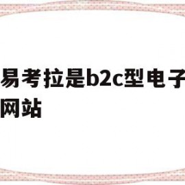 网易考拉是b2c型电子商务网站的简单介绍