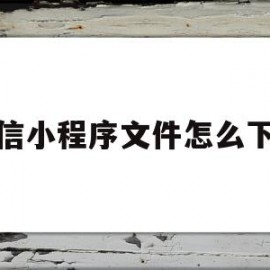 微信小程序文件怎么下载(微信小程序文件怎么下载到手机)