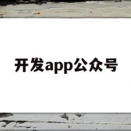 开发app公众号(开发公众号怎么赚钱)