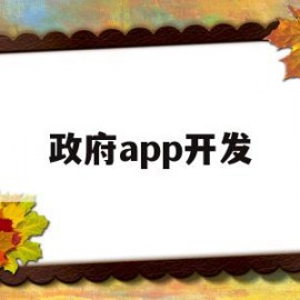 政府app开发(政府app工程项目)