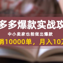 拼多多爆款实战攻略：中小卖家也能做出爆款，日销10000单