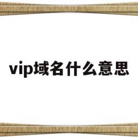 vip域名什么意思(vip域名值得投资吗)