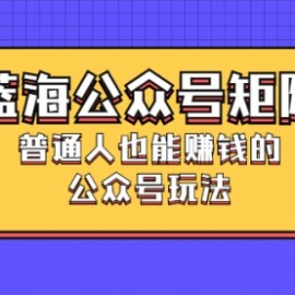 蓝海公众号矩阵：普通人也能赚钱的公众号玩法，月入过N万