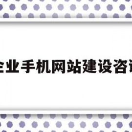 企业手机网站建设咨询(企业进行网站建设的方式有哪些)