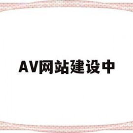 关于AV网站建设中的信息