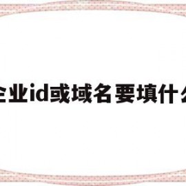 企业id或域名要填什么(企业的id是什么样子填写)