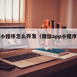 微信小程序怎么开发（微信app小程序开发）