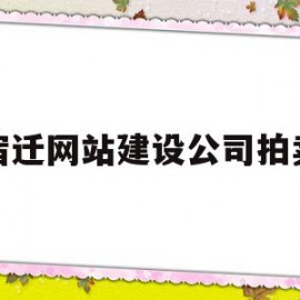 宿迁网站建设公司拍卖(宿迁网站建设公司拍卖信息)