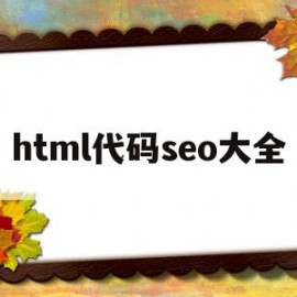 html代码seo大全(在html代码中如何做seo)