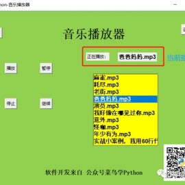 网页播放器代码大全(网页播放器怎么写)