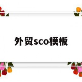 包含外贸sco模板的词条