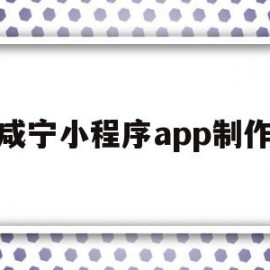 咸宁小程序app制作(咸宁小程序app制作平台)