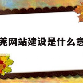 东莞网站建设是什么意思(东莞网站建设服务有什么用)