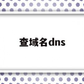 查域名dns(查域名dns解析)