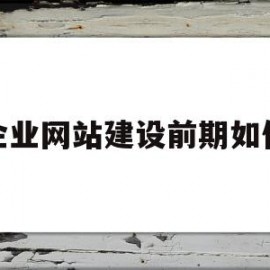 企业网站建设前期如何(企业网站建设的方式有哪些方式)