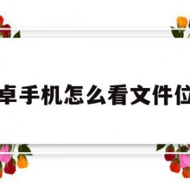 安卓手机怎么看文件位置(安卓手机怎么看文件位置在哪)