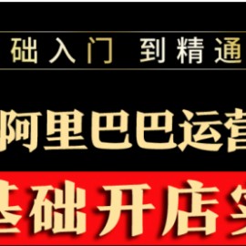 阿里巴巴1688运营推广教程新手开店诚信通装修培训视频