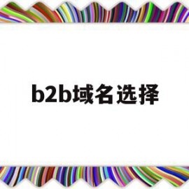 b2b域名选择(b2b的网址有哪些)