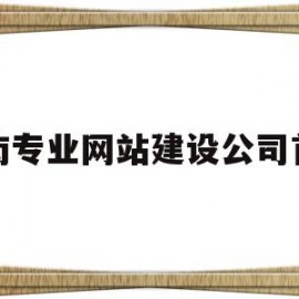 关于河南专业网站建设公司首选的信息