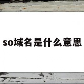 so域名是什么意思(so域名是什么意思啊)