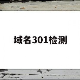 域名301检测(域名检测是什么意思)