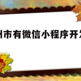 郑州市有微信小程序开发的吗(郑州市有微信小程序开发的吗现在)