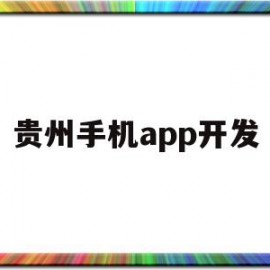 贵州手机app开发(贵州手机app开发公司)