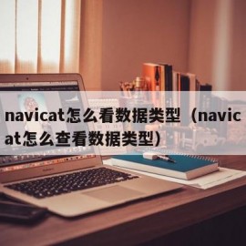 navicat怎么看数据类型（navicat怎么查看数据类型）